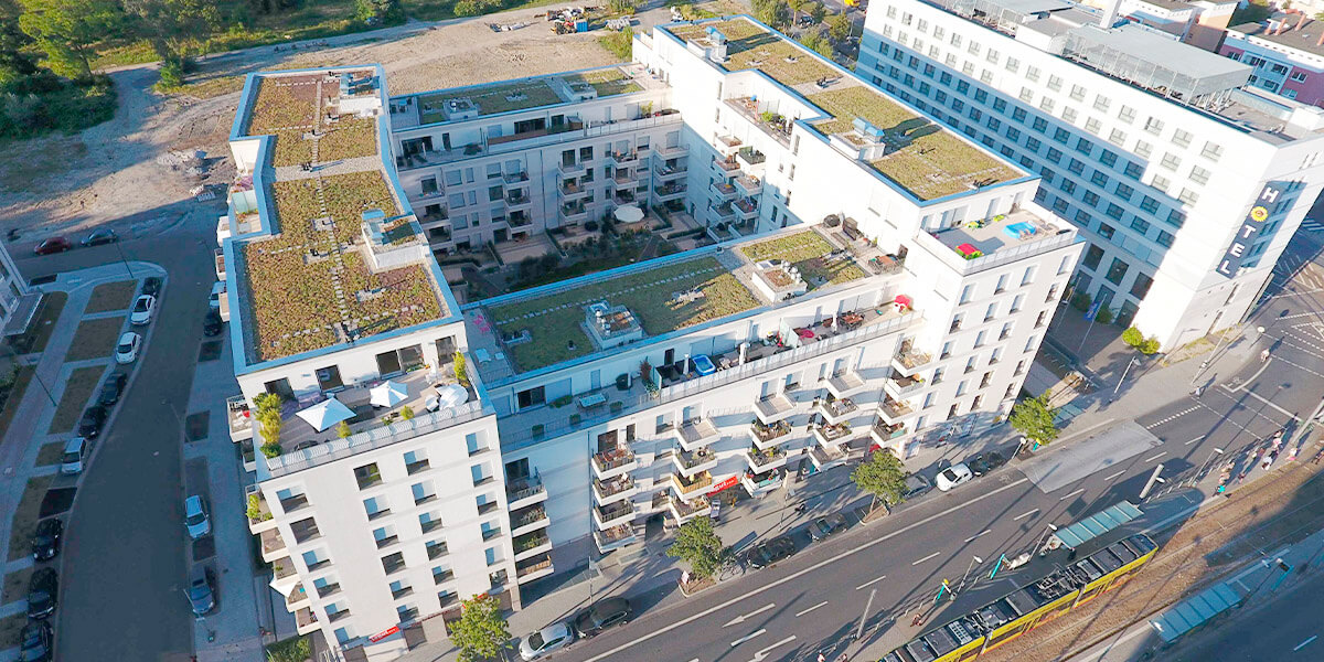 Dachbegrünung in Frankfurt