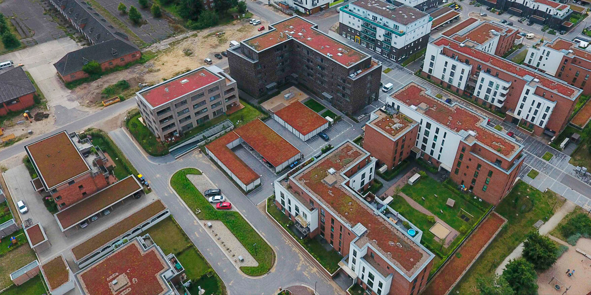 Begrünte Flachdächer in Lüneburg