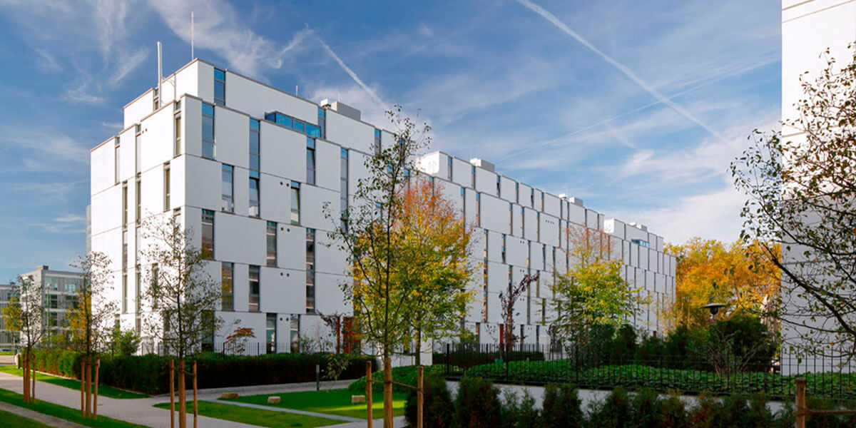 Neubau-Bedachung mit Grün in Essen